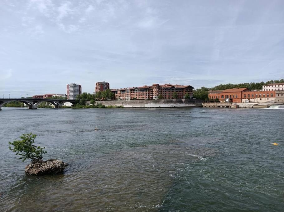 T3 Lumineux - Berges De La Garonne - Parking Διαμέρισμα Τουλούζη Εξωτερικό φωτογραφία